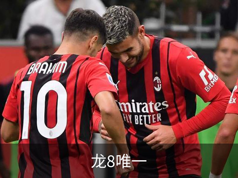 了解龙8唯一